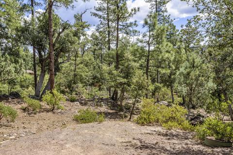 4182 W Forest Ct, Pine, AZ 85544 photo 41