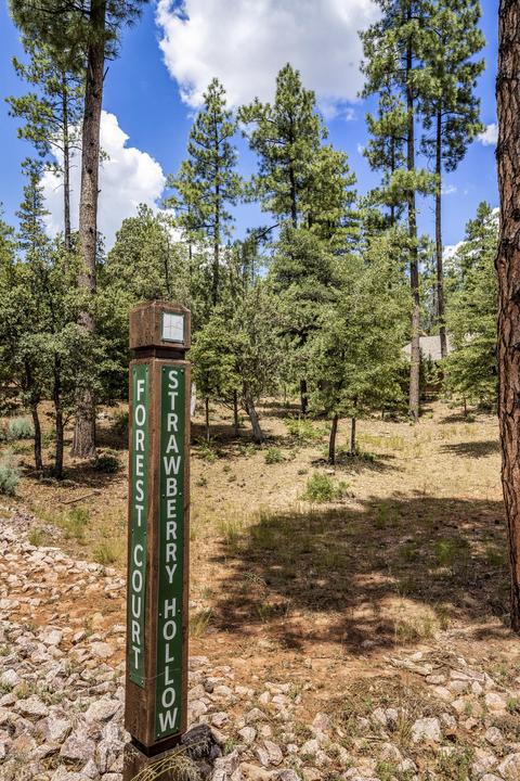 4182 W Forest Ct, Pine, AZ 85544 photo 39