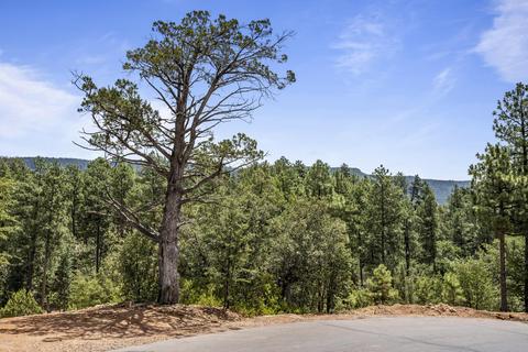 4182 W Forest Ct, Pine, AZ 85544 photo 43