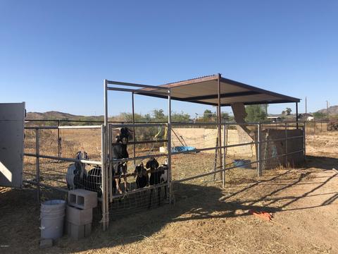 12802 S Gopher Rd, Buckeye, AZ 85326 photo 83
