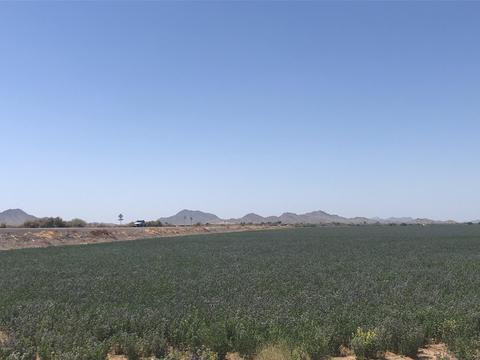 12802 S Gopher Rd, Buckeye, AZ 85326 photo 101