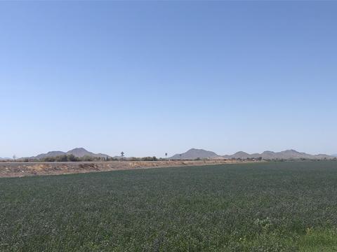 12802 S Gopher Rd, Buckeye, AZ 85326 photo 102