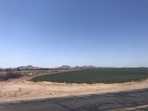 12802 S Gopher Rd, Buckeye, AZ 85326 photo 98