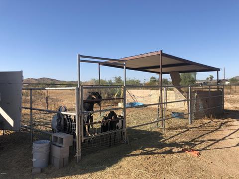 12802 S Gopher Rd, Buckeye, AZ 85326 photo 84