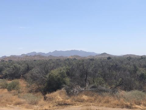 12802 S Gopher Rd, Buckeye, AZ 85326 photo 106