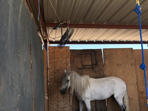 12802 S Gopher Rd, Buckeye, AZ 85326 photo 90