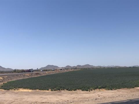 12802 S Gopher Rd, Buckeye, AZ 85326 photo 99