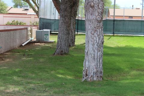 455 S Delaware Dr #100, Apache Junction, AZ 85120 photo 10