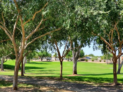 7222 E Jasmine St, Mesa, AZ 85207 photo 19