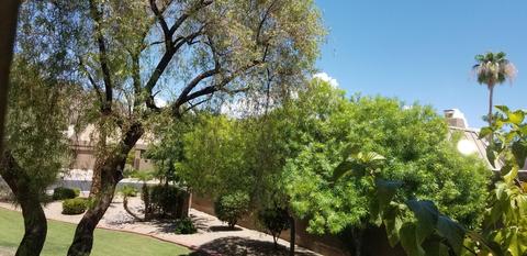 6221 N 30th Way, Phoenix, AZ 85016 photo 12