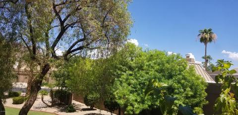 6221 N 30th Way, Phoenix, AZ 85016 photo 20