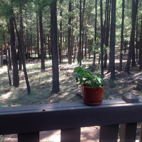 4500 E Coldstream Ln, Flagstaff, AZ 86004 photo 18
