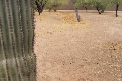 508 N Merrill Rd, Mesa, AZ 85207 photo 45