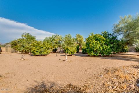 508 N Merrill Rd, Mesa, AZ 85207 photo 49