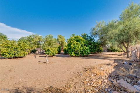 508 N Merrill Rd, Mesa, AZ 85207 photo 3