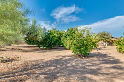 508 N Merrill Rd, Mesa, AZ 85207 photo 2