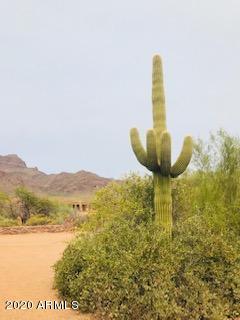 30 N La Barge Rd, Apache Junction, AZ 85119 photo 71