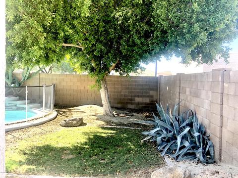 3601 E Rocky Slope Dr, Phoenix, AZ 85044 photo 12
