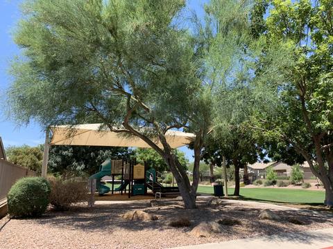 9854 E Flower Ave, Mesa, AZ 85208 photo 13