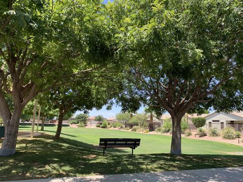 9854 E Flower Ave, Mesa, AZ 85208 photo 14