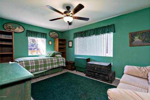 3918 N Hunt Dr, Pine, AZ 85544 photo 19