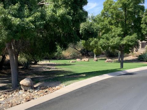 8944 E Nora Cir, Mesa, AZ 85207 photo 51