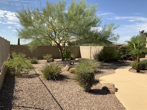 8944 E Nora Cir, Mesa, AZ 85207 photo 49