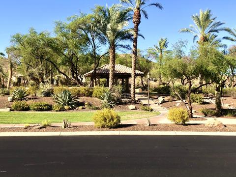 2446 E Desert Willow Dr, Phoenix, AZ 85048 photo 45