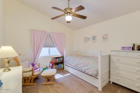 7503 E Hannibal St, Mesa, AZ 85207 photo 19