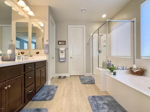 10727 E Sheffield Dr, Mesa, AZ 85212 photo 23