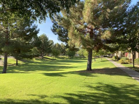 832 S Henry Ln, Gilbert, AZ 85296 photo 27