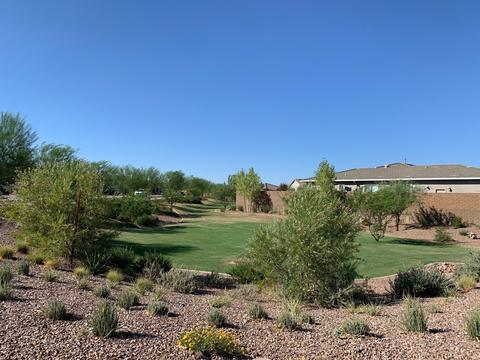 3235 E Harlow Dr, Phoenix, AZ 85050 photo 17