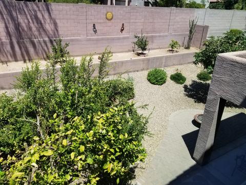 2436 W Eagle Feather Rd, Phoenix, AZ 85085 photo 42