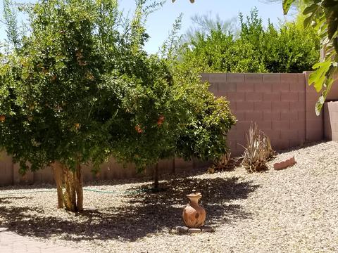 2436 W Eagle Feather Rd, Phoenix, AZ 85085 photo 45