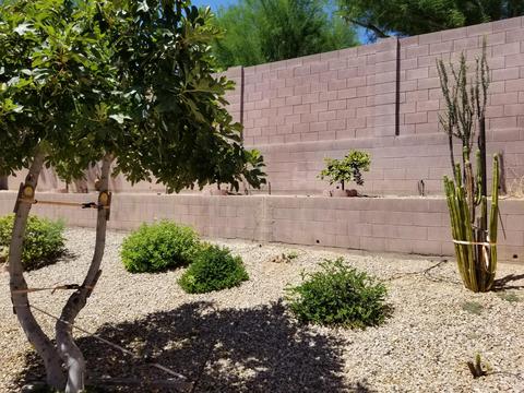 2436 W Eagle Feather Rd, Phoenix, AZ 85085 photo 44