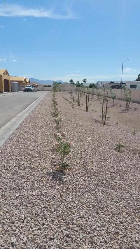 6928 E Butte St, Mesa, AZ 85207 photo 33