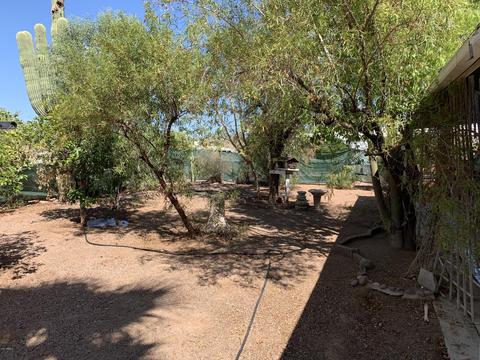 346 S Copper Dr, Apache Junction, AZ 85120 photo 4