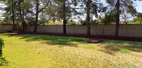 1127 E Renee Dr, Phoenix, AZ 85024 photo 2