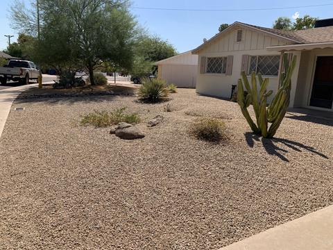 25 E Garfield St, Tempe, AZ 85288 photo 4