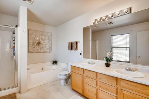 3243 S Conestoga Rd, Apache Junction, AZ 85119 photo 14