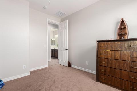 2453 E Plum St, Gilbert, AZ 85298 photo 42