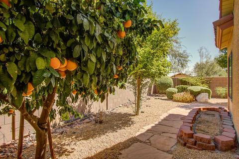 4523 E Swilling Rd, Phoenix, AZ 85050 photo 16