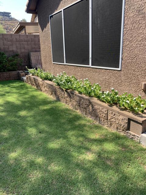 2209 E Siesta Ln, Phoenix, AZ 85024 photo 13