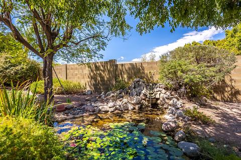 3228 N Pinnule --, Mesa, AZ 85215 photo 27