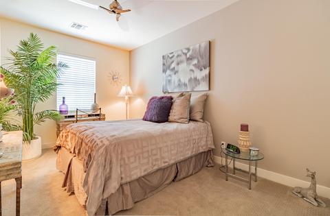 10505 E Natal Ave, Mesa, AZ 85209 photo 40