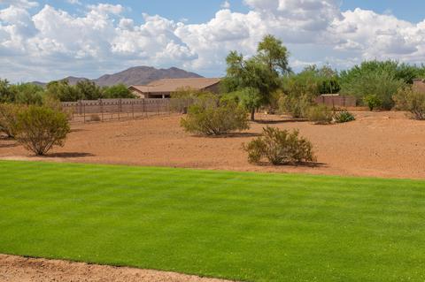 118 E Jordon Ln, Phoenix, AZ 85086 photo 18