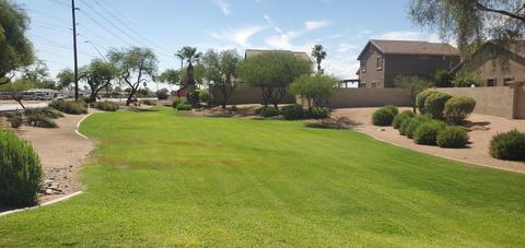 8802 E University Dr #63, Mesa, AZ 85207 photo 28