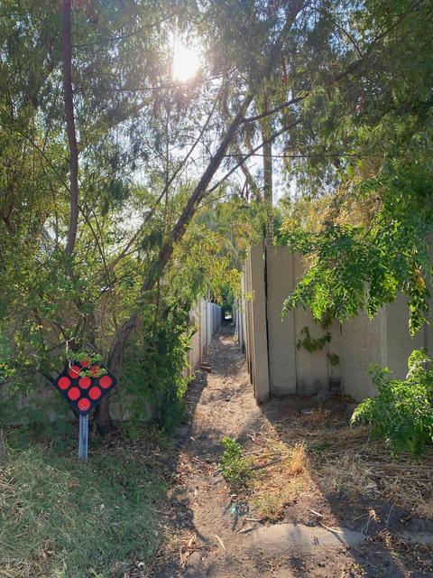 30 E Harmont Dr, Phoenix, AZ 85020 photo 44