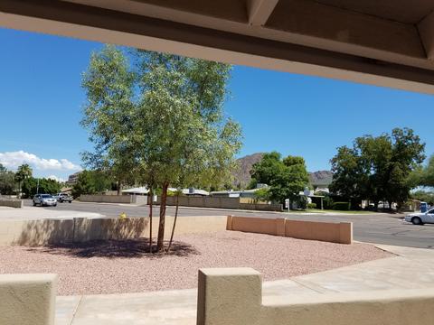 4341 E Turney Ave, Phoenix, AZ 85018 photo 4
