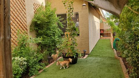 1114 W Oraibi Dr, Phoenix, AZ 85027 photo 49